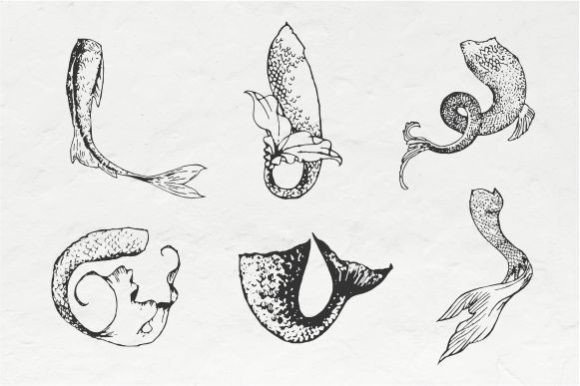 Mermaid Tail Vintage Illustration Vector Review for Real Projects